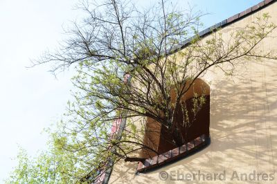 Hundertwasser-Wohnhaus
